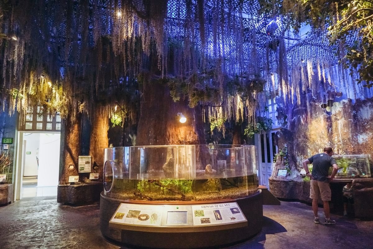 Tempat Terbaik Untuk Makan Serangga Di Amerika Utara